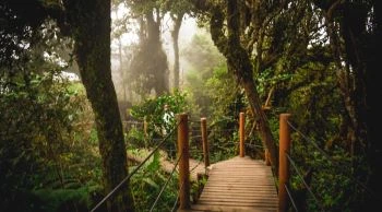 Day trip to Rau Forest Reserve