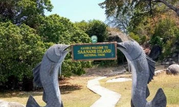 Saanane Island Day Tour
