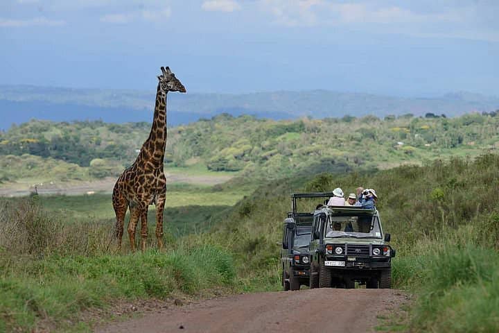 private tanzania safari tours | private Tanzania safari | Private Tanzania safari 2023 | private tanzania safari 2024 | 5 day private tanzania safari | 5 day private Tanzania safari 2023 | 5 Day Private Tanzania Safari Arusha, Tarangire, Serengeti, and Ngorongoro| 2023 | 2024 | 2025 | Kizza Adventures