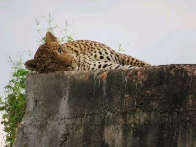 3 days Tarangire, Ngorongoro and Lake Eyasi
