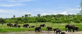 The Best Tanzania tour operators company in Tanzania | Kizza Adventure