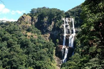 2 Days Udzungwa Mountains Safari| Kizza Adventure
