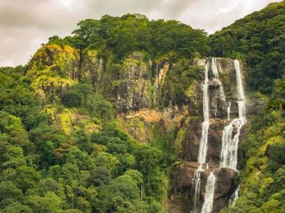 2 Days Udzungwa Mountains Safari| Kizza Adventure