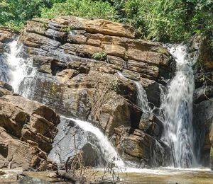 4 days Usambara Mountains trekking| Kizza Adventure
