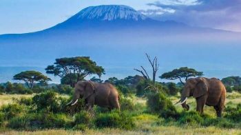 12 days kenya tanzania safari