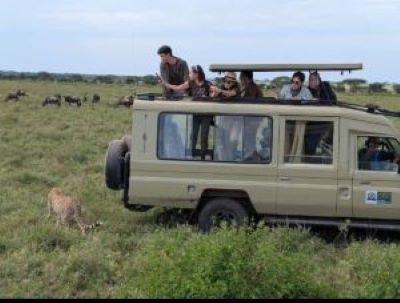 2 weeks kenya and tanzania family safari