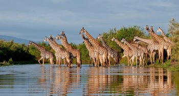 5 days explore nyerere national park and kilwa kisiwani