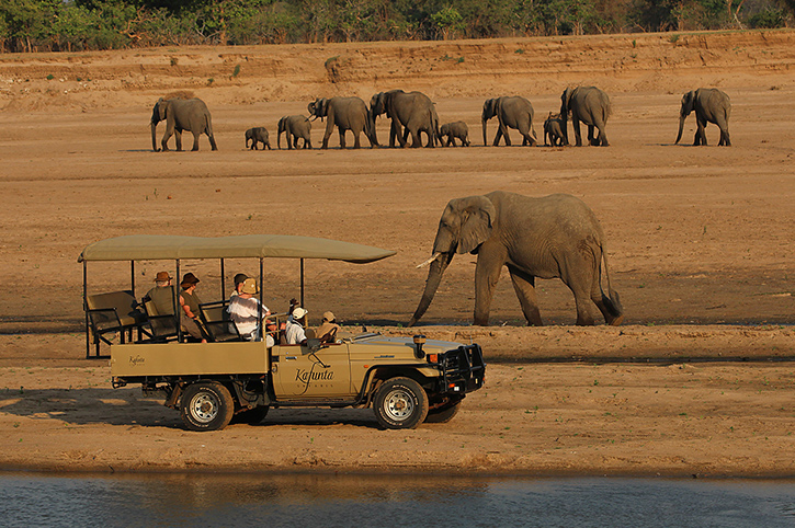13 days zambia safari 