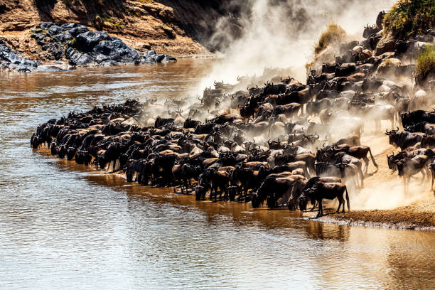 All-inclusive tanzania safari packages