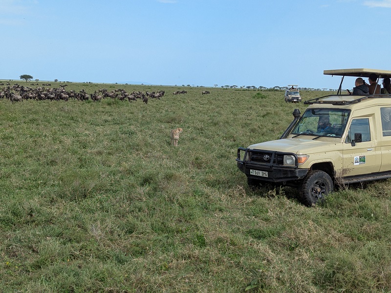 All-inclusive tanzania safari packages