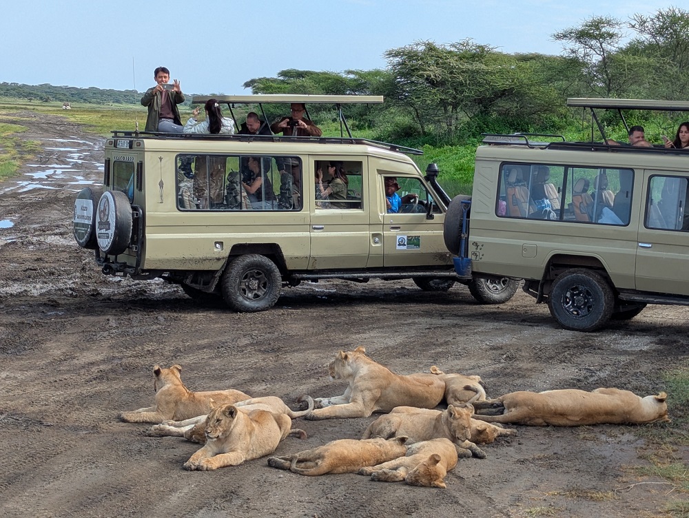 All-inclusive tanzania safari packages