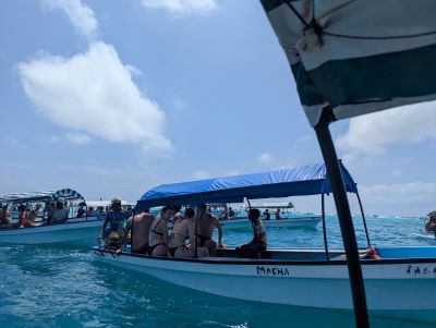 Best Tanzania safari and Zanzibar packages