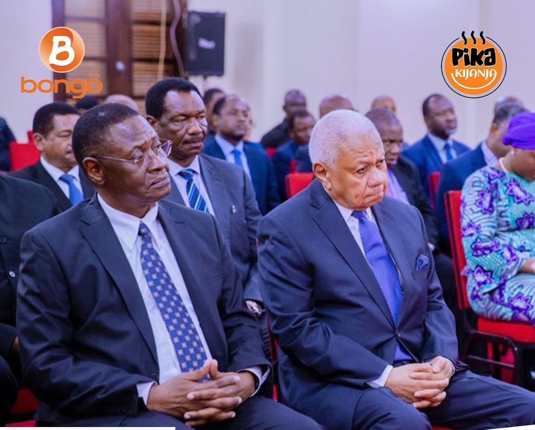 tanzania election 2025 inquiry commission report released