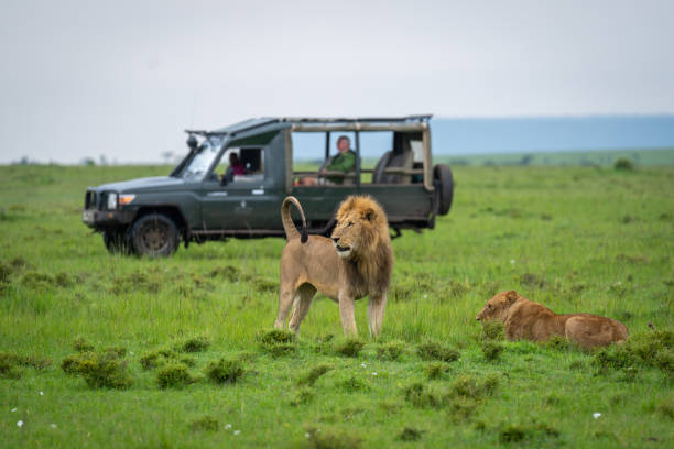 6 Days Maasai Mara And Amboseli safari