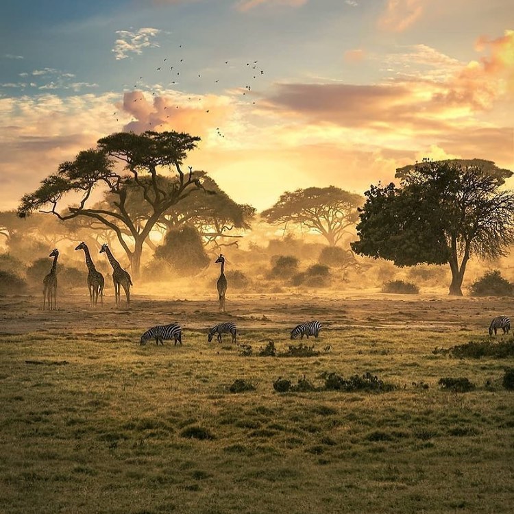 15 Days Classic Kilimanjaro Safari Zanzibar
