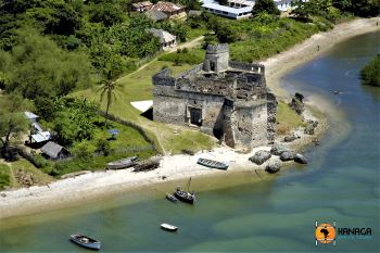 4 days tanzania safari to kilwa and nyerere national park