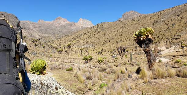 5 Days Mount Kenya Trekking Safari