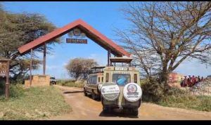 6 days tanzania safari from zanzibar