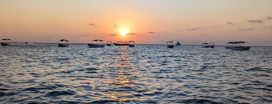 🌅 Zanzibar Sunset Dhow Cruise – A Magical Evening Experience