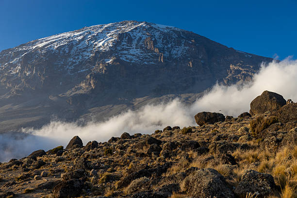 Marangu Route Kilimanjaro