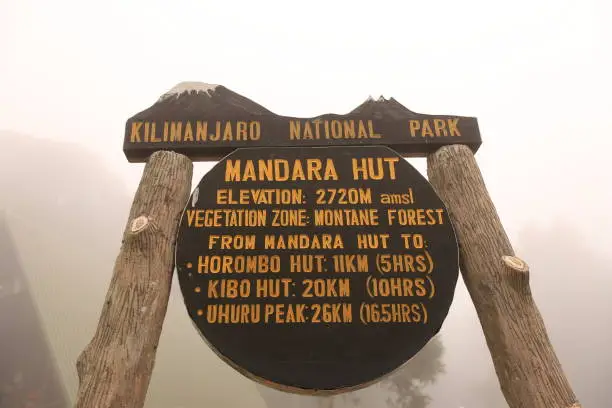 Kilimanjaro summit at sunrise