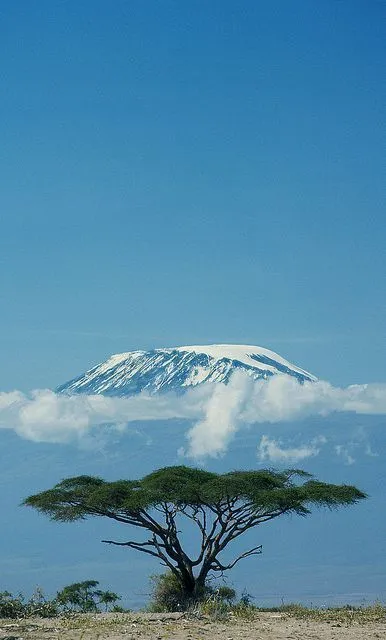 Climbers on Kilimanjaro trail