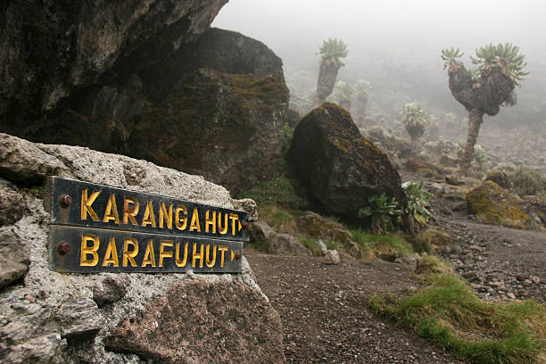 Mount Kilimanjaro glacier view