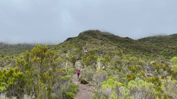 Kilimanjaro hut accommodation