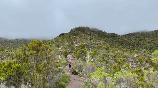 Group Join Machame 6-Day Kilimanjaro climb