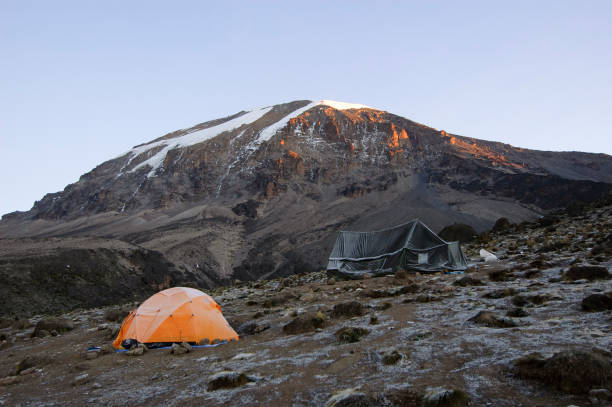 Mti Mkubwa Camp