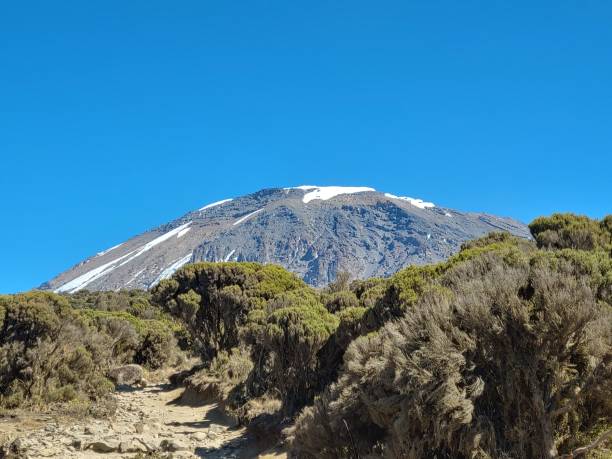 Kilimanjaro porters carrying gear