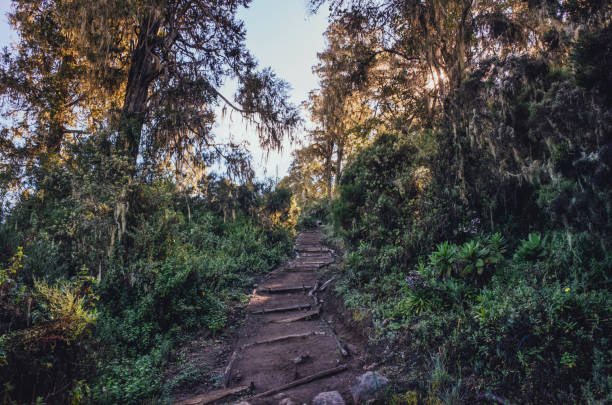 Kibo peak from Kilimanjaro trail