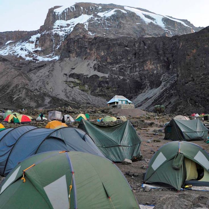 Mawenzi Tarn Camp