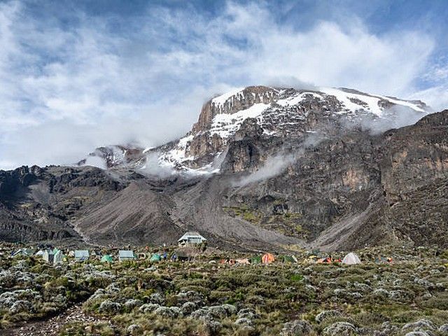 Kilimanjaro trail through rainforest