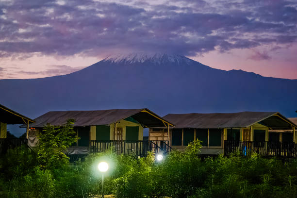 Kilimanjaro alpine desert landscape