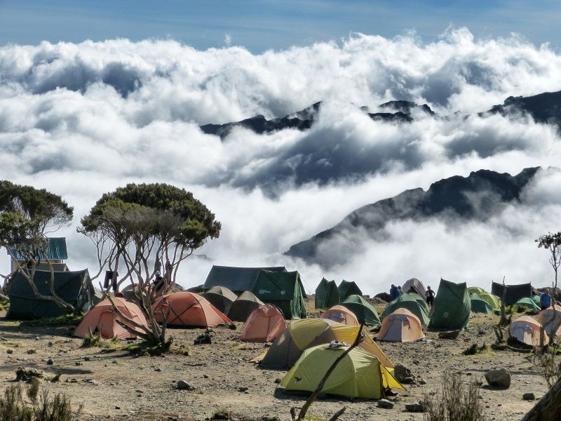 Mti Mkubwa Camp