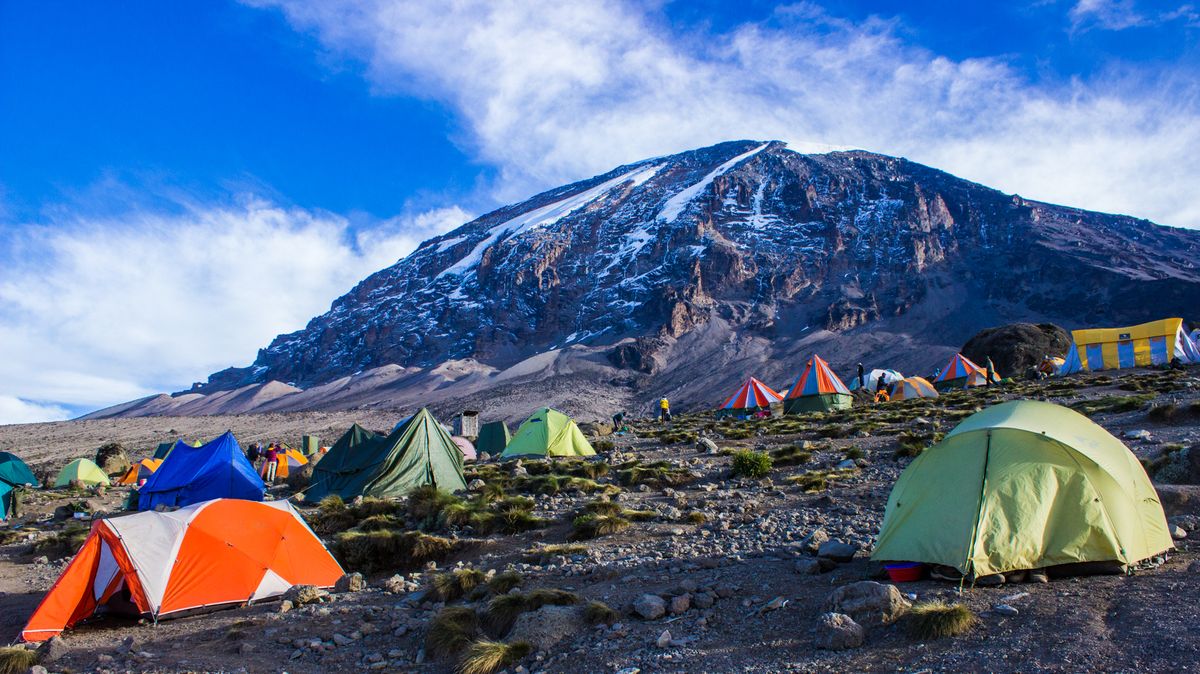 Buffalo Camp