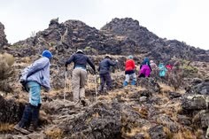 Climbers on Kilimanjaro trail