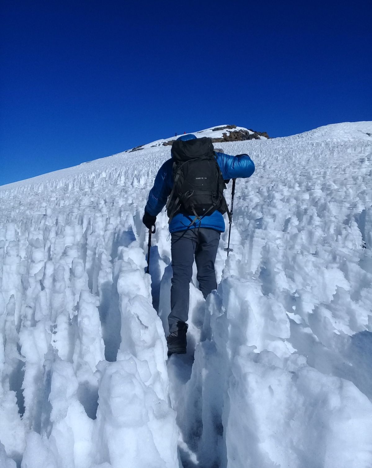 Kilimanjaro porters carrying gear