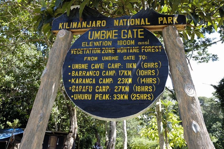 Kilimanjaro porters carrying gear