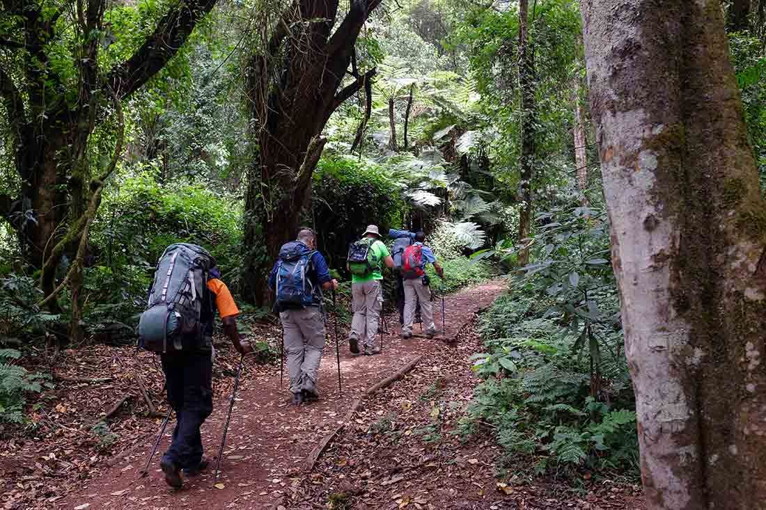 Kibo peak from Kilimanjaro trail