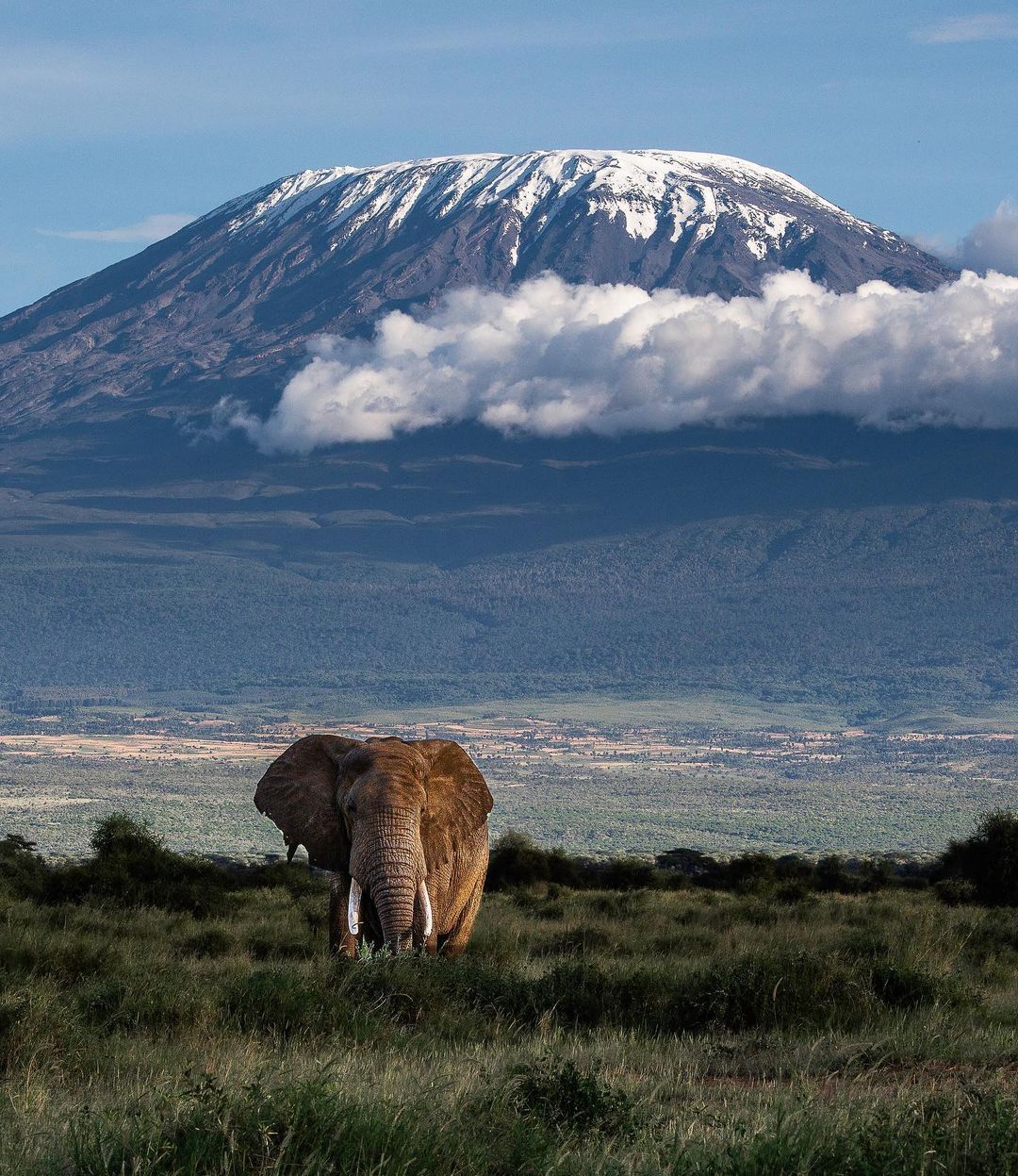 Kilimanjaro Group Join Marangu 5-Day Climb