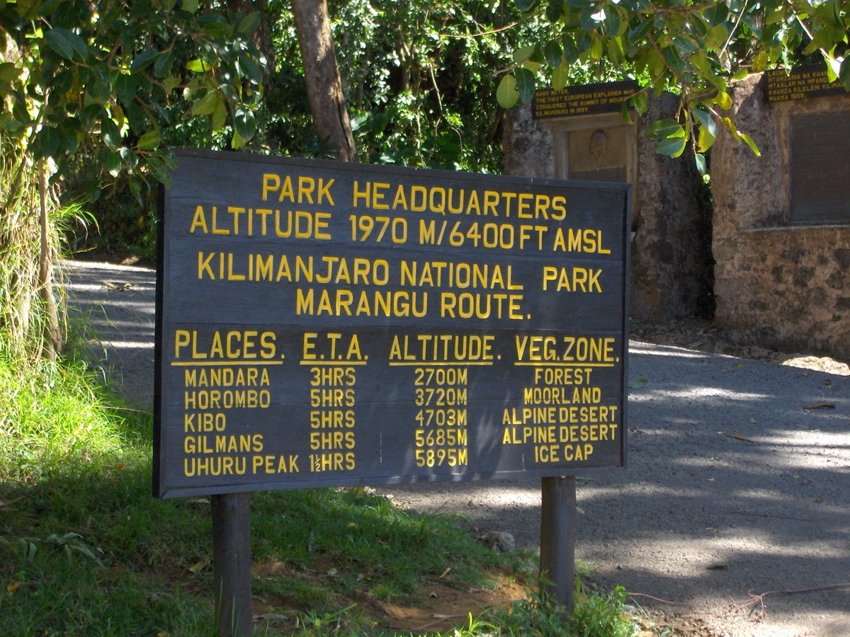 Marangu rainforest