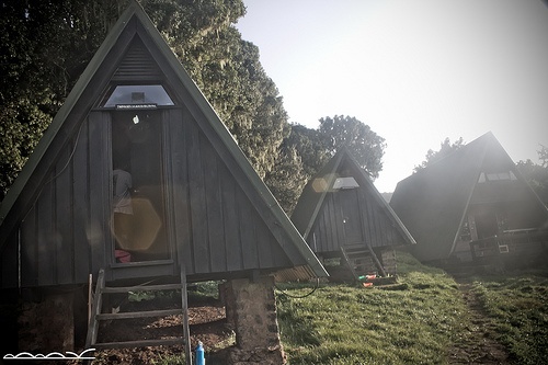 Moorland trail to Horombo Hut