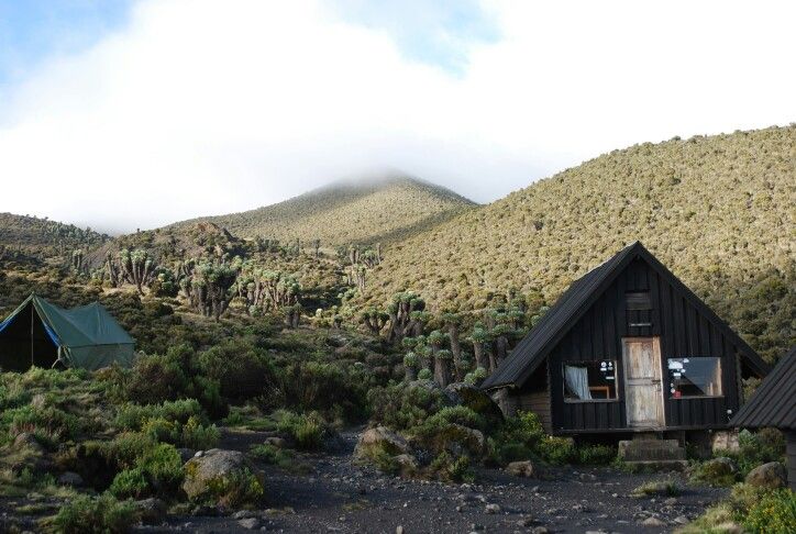 Alpine desert on the saddle to Kibo