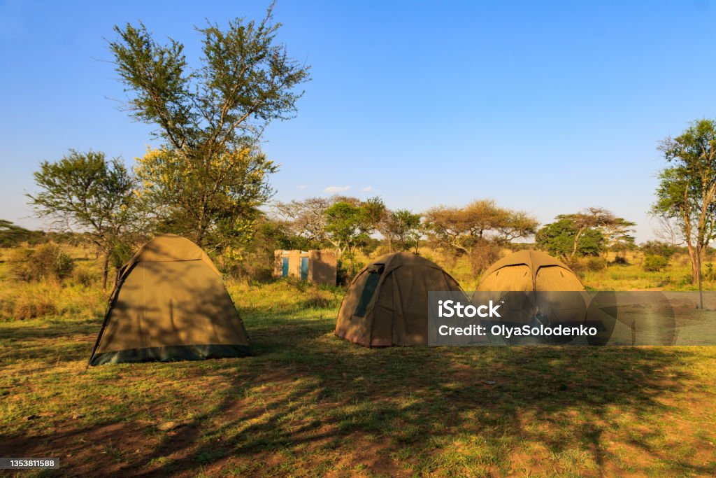 Rongai moorland