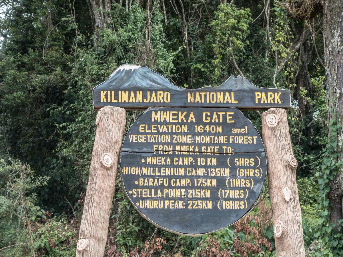 Mweka descent