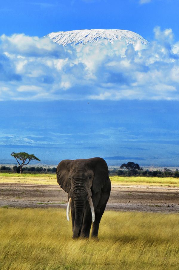 Rongai 6-Day