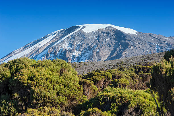 Kilimanjaro Group Join Umbwe 6-Day Climb