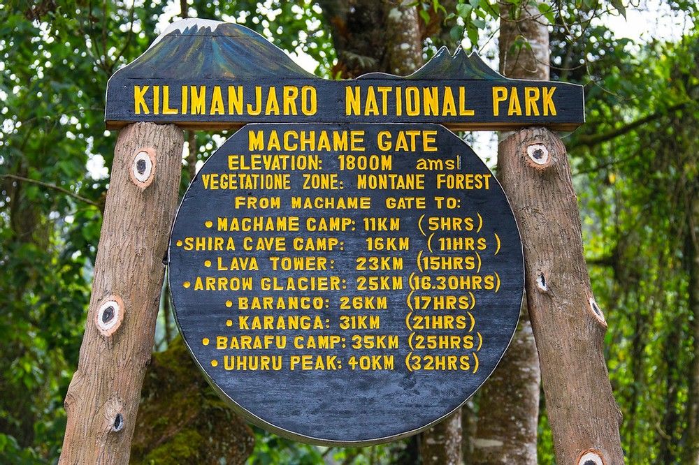 Machame rainforest